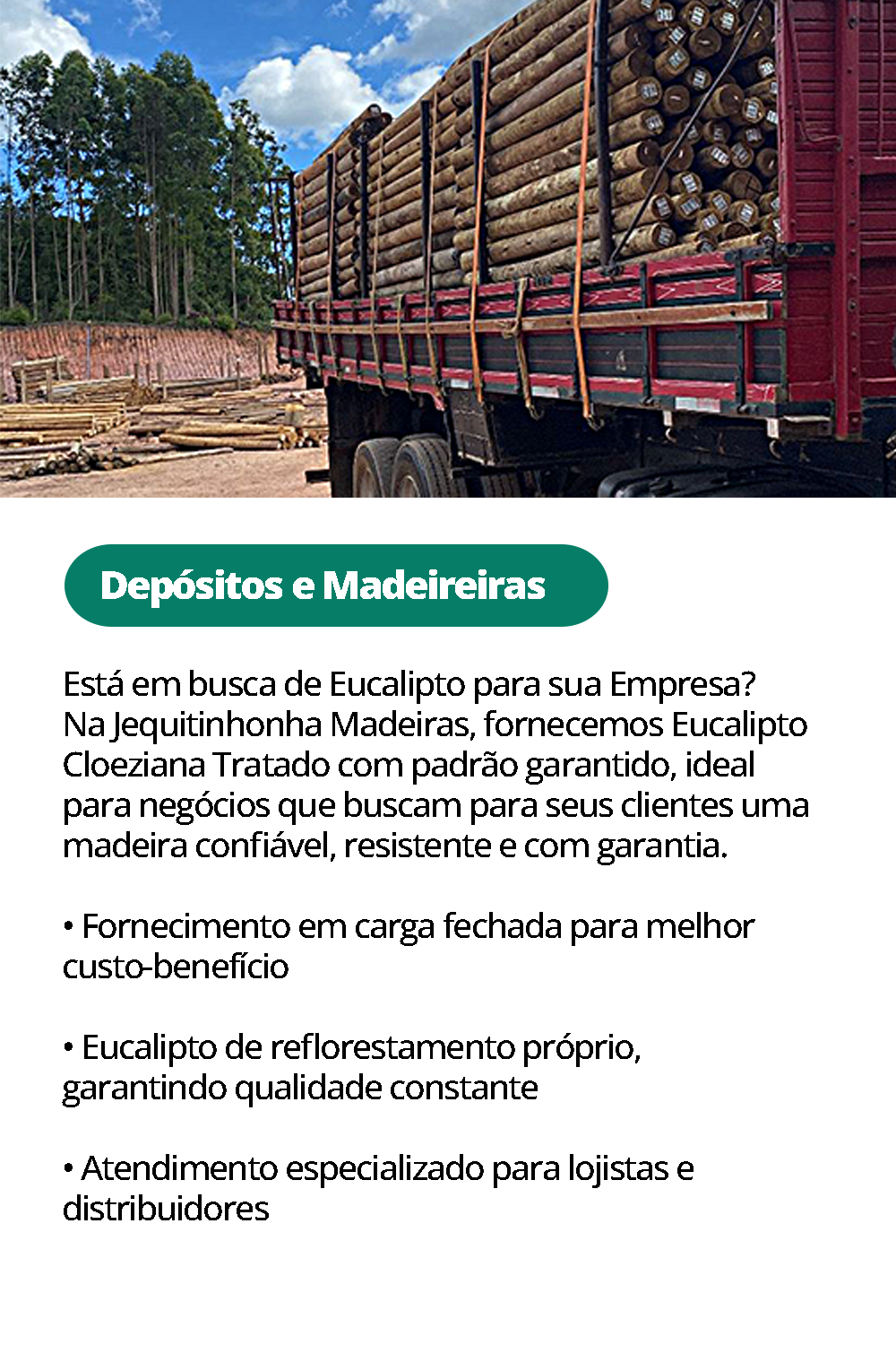 DEPOSITOS E MADEIREIRAS
